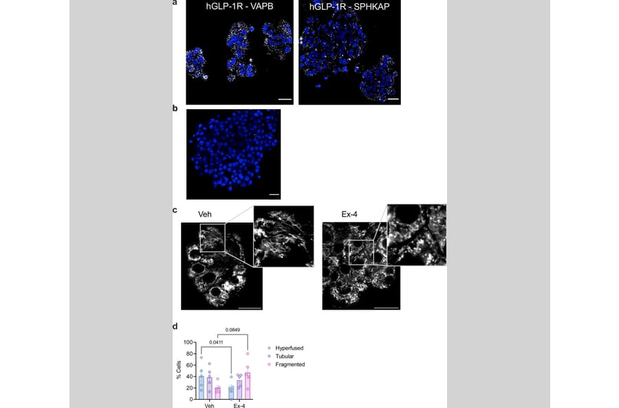 Publication Image