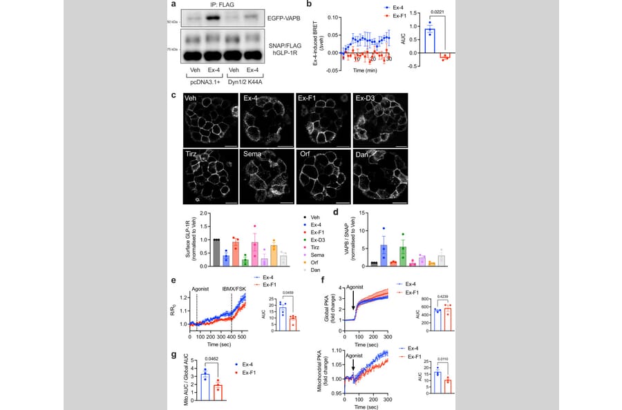 Publication Image