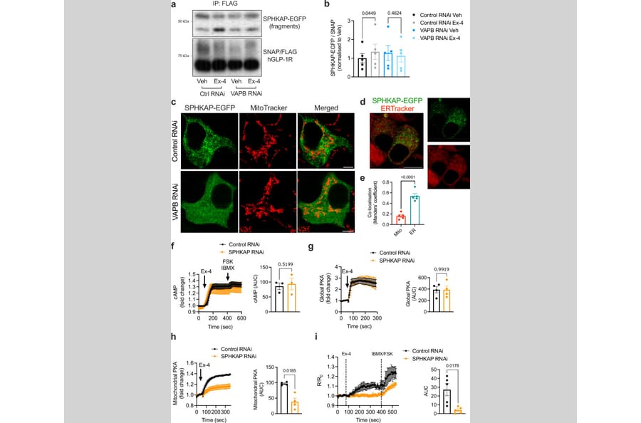 Publication Image