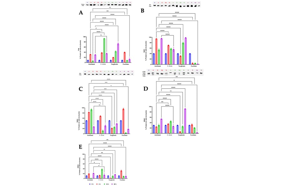 Publication Image