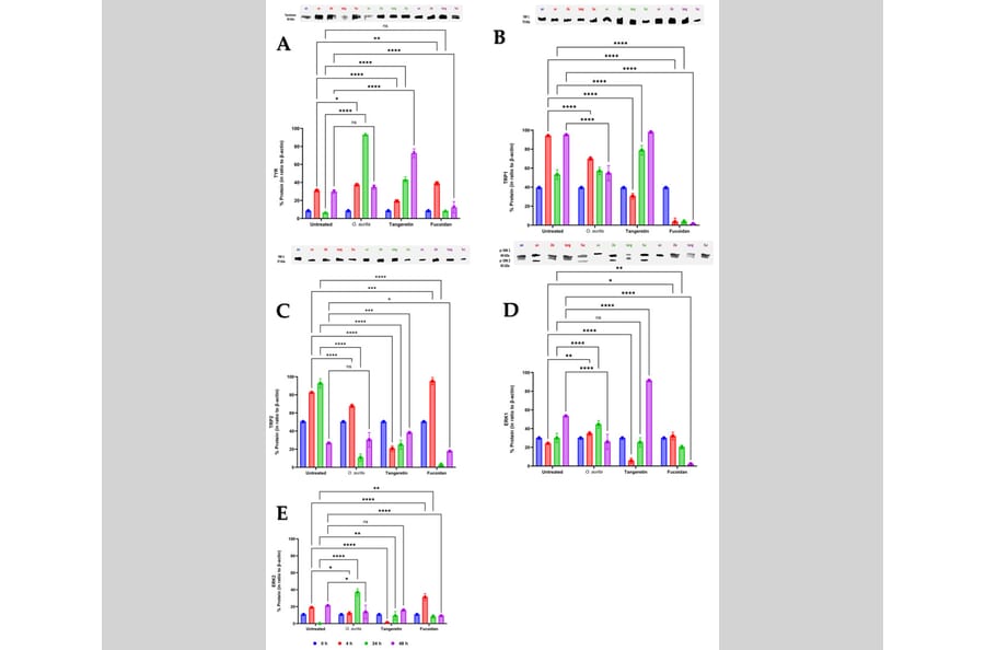 Publication Image