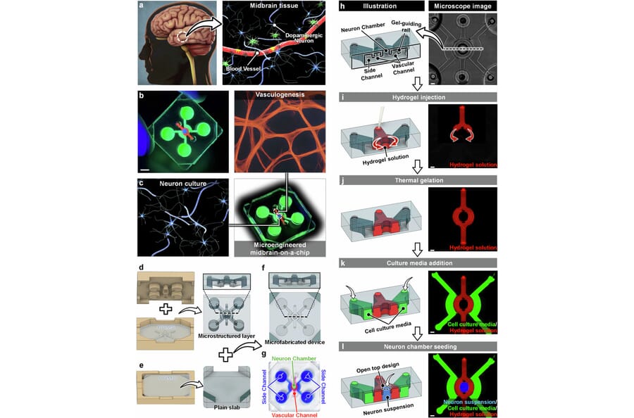 Publication Image