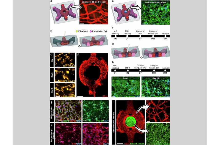 Publication Image
