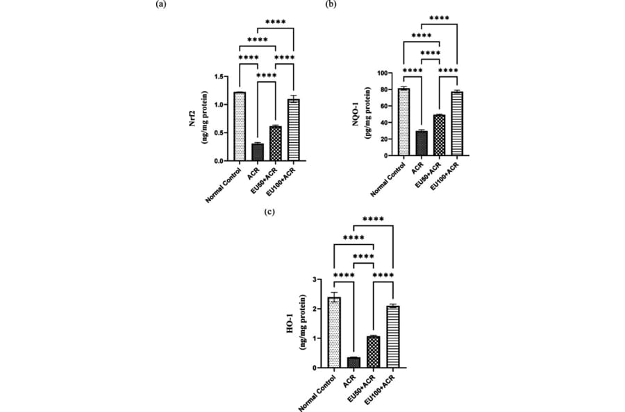 Publication Image
