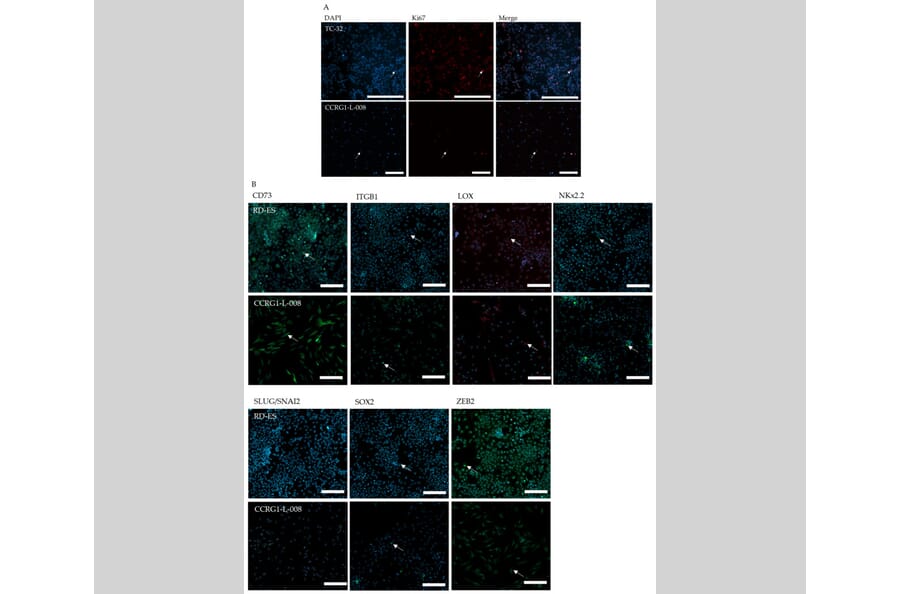 Publication Image