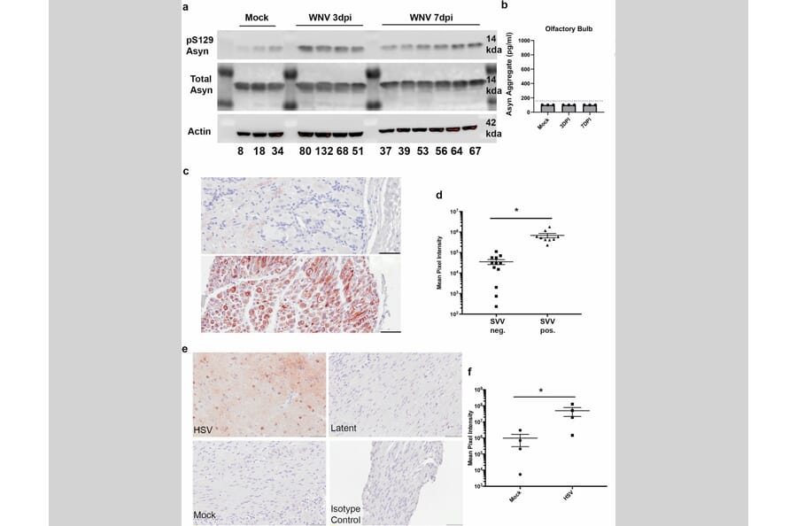 Publication Image