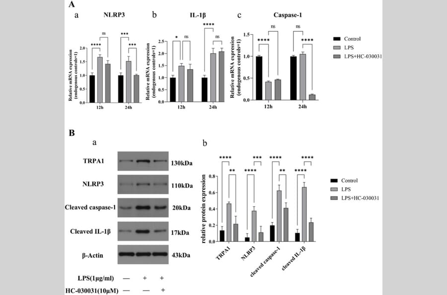 Publication Image