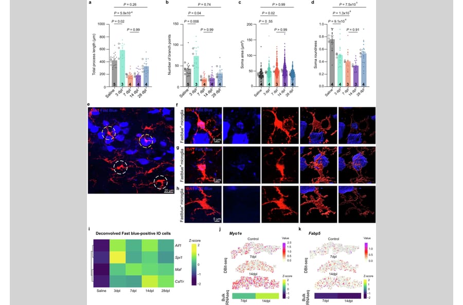 Publication Image