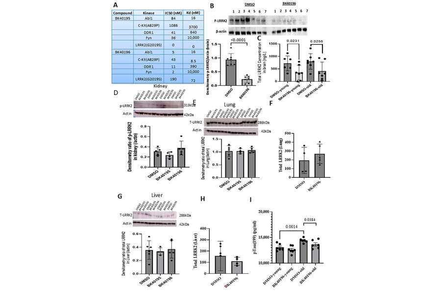 Publication Image