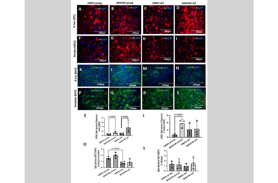Publication Image