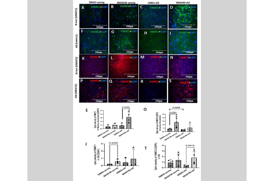 Publication Image