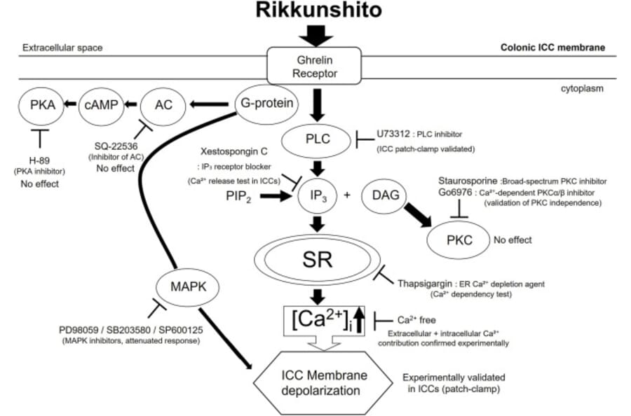 Publication Image