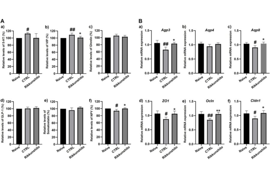 Publication Image