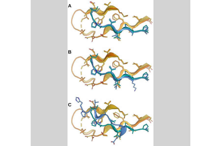 Publication Image