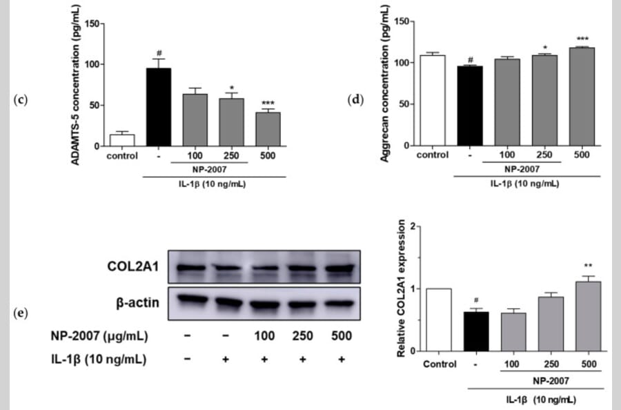 Publication Image