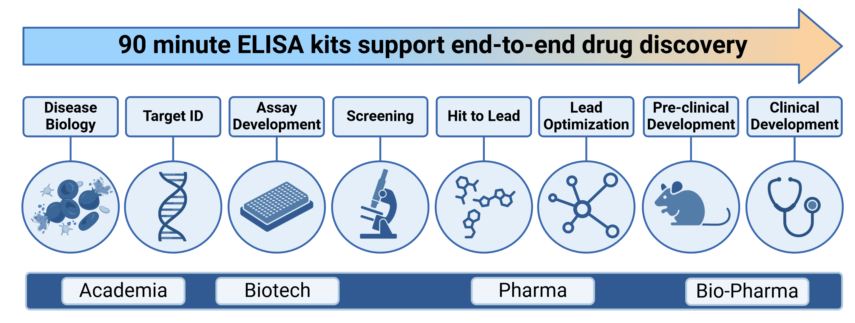 Schematic of the drug discovery process, and how 90 minute ELISAs can contribute to each stage