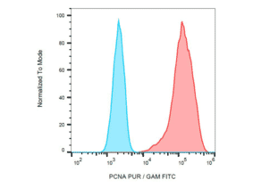 Anti-PCNA Antibody [PC10] - A86878 - Antibodies.com