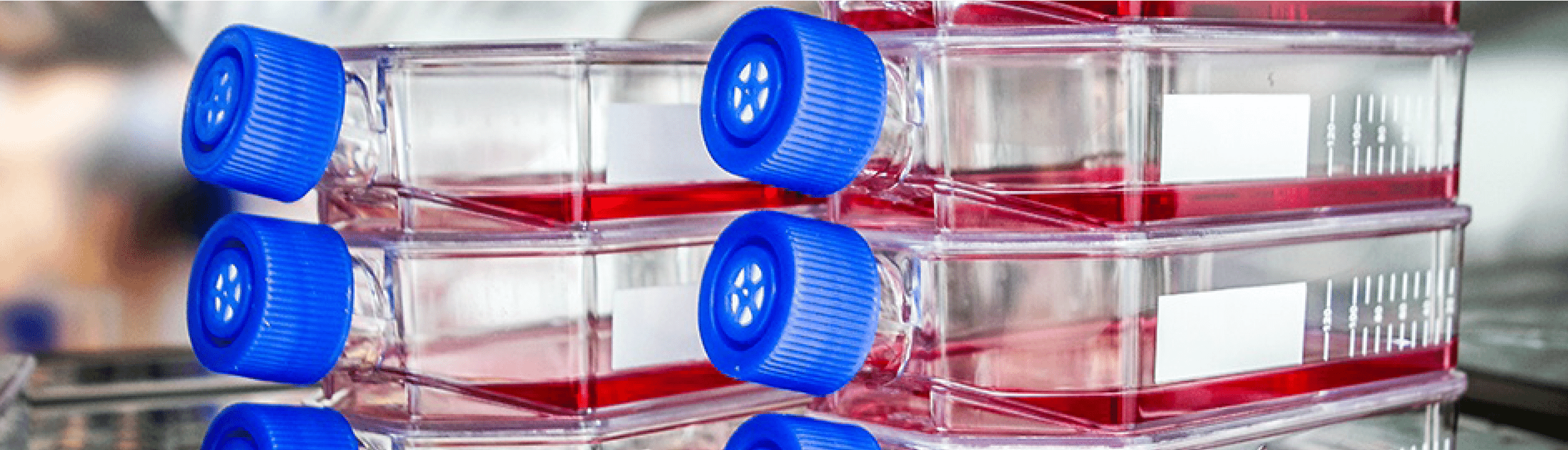 Monoclonal Antibody Flasks - Antibodies.com