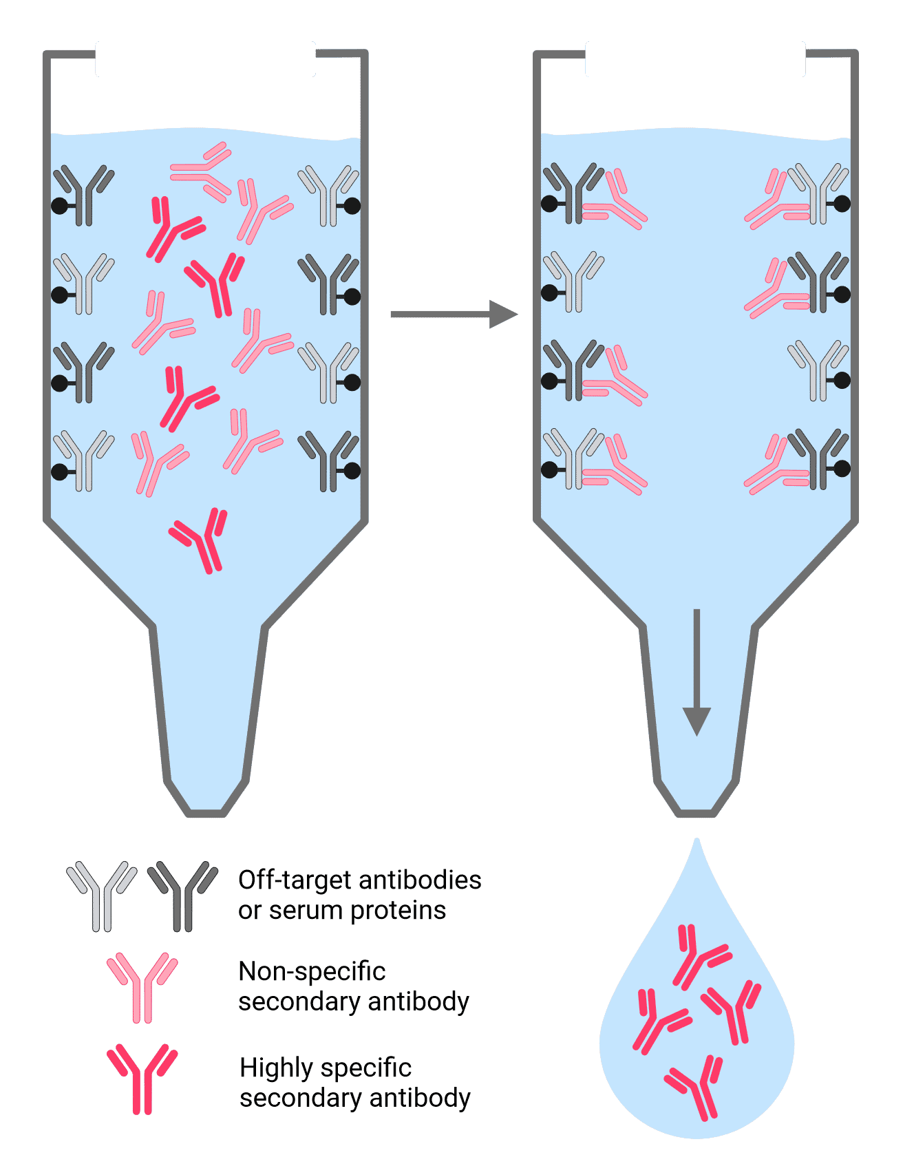 Diagram of cross-adsorption process