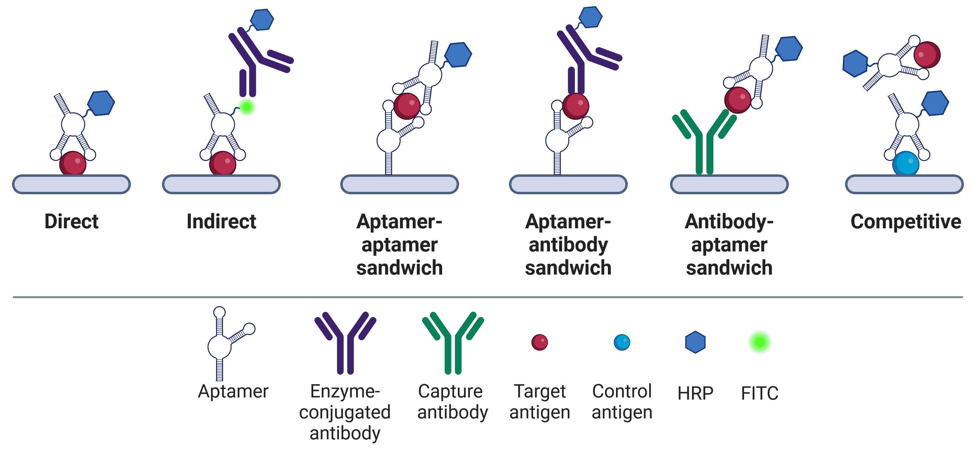 Diagram of ELASA formats, including schematics of direct, indirect, sandwich and competitive ELASA