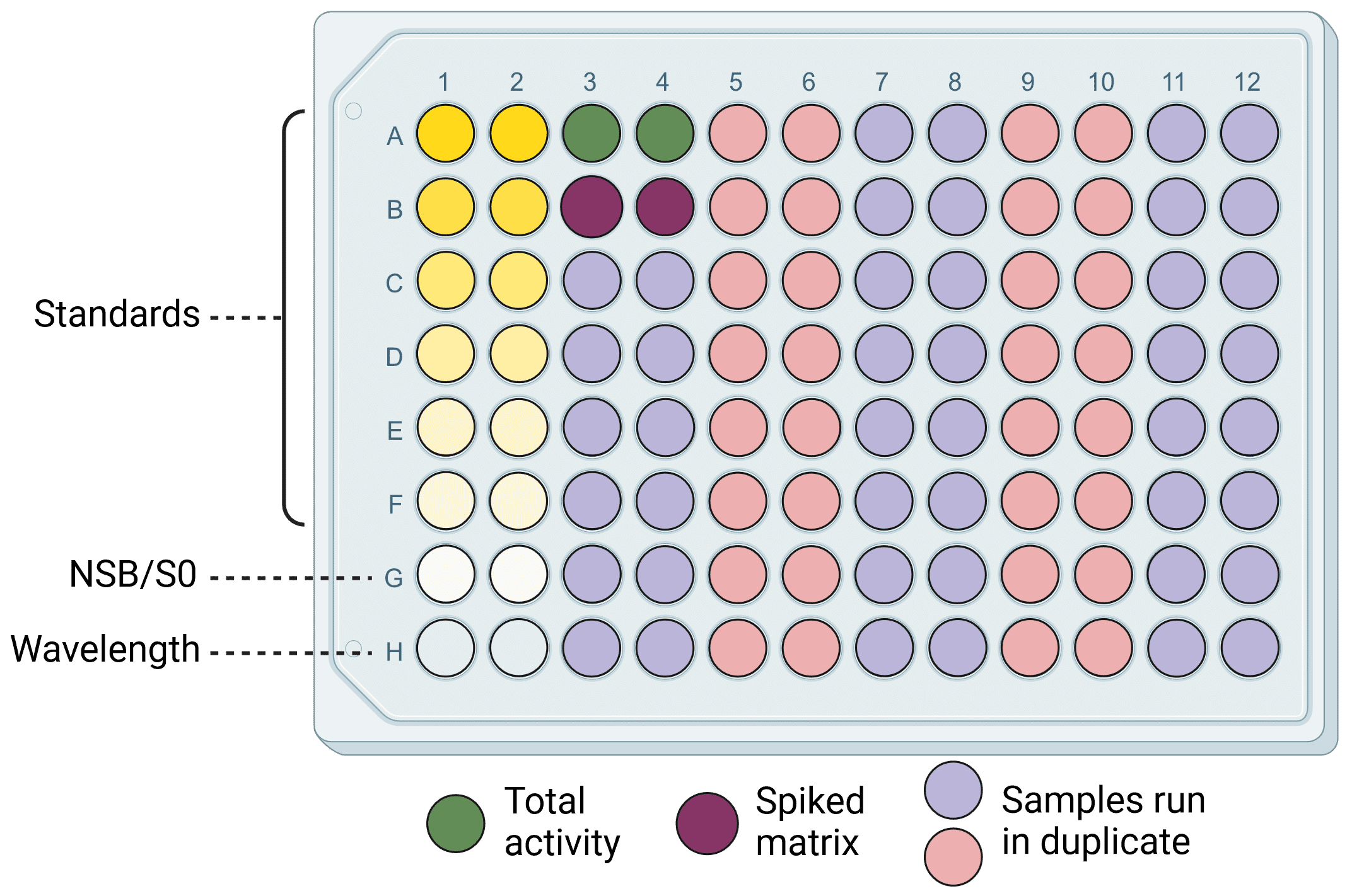 ELISA: The Complete Guide | Antibodies.com