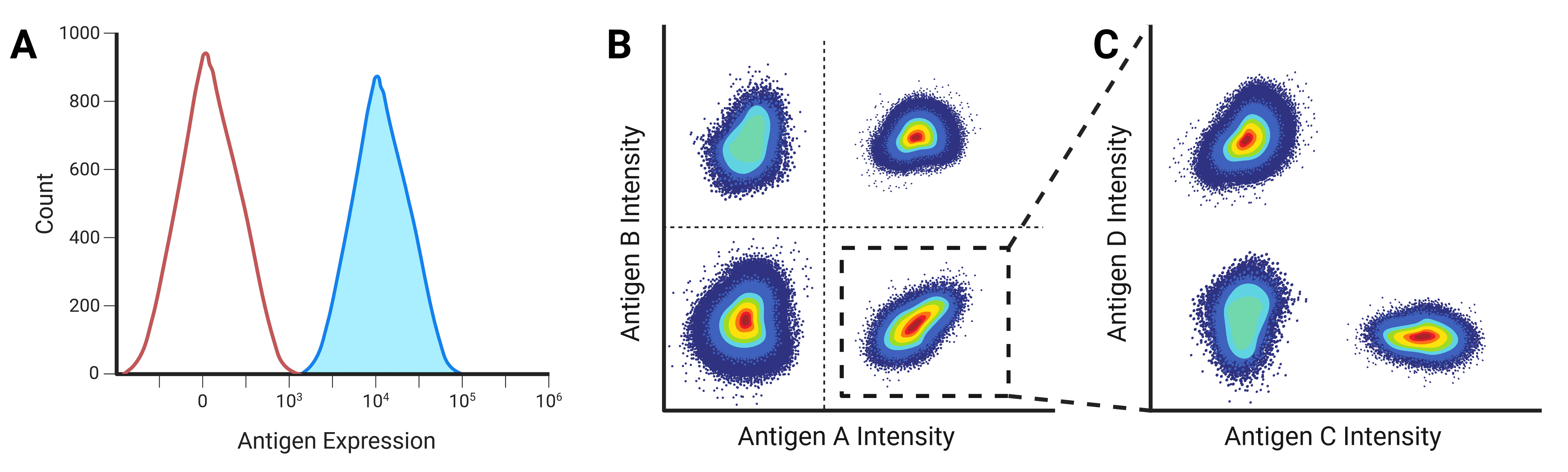 Flow Cytometry: The Complete Guide | Antibodies.com