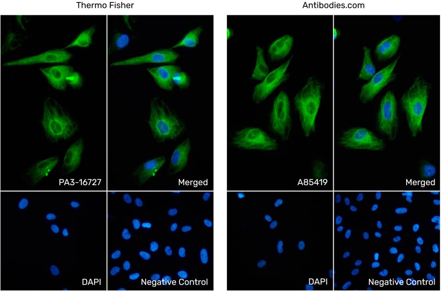 Independent Antibody Comparison