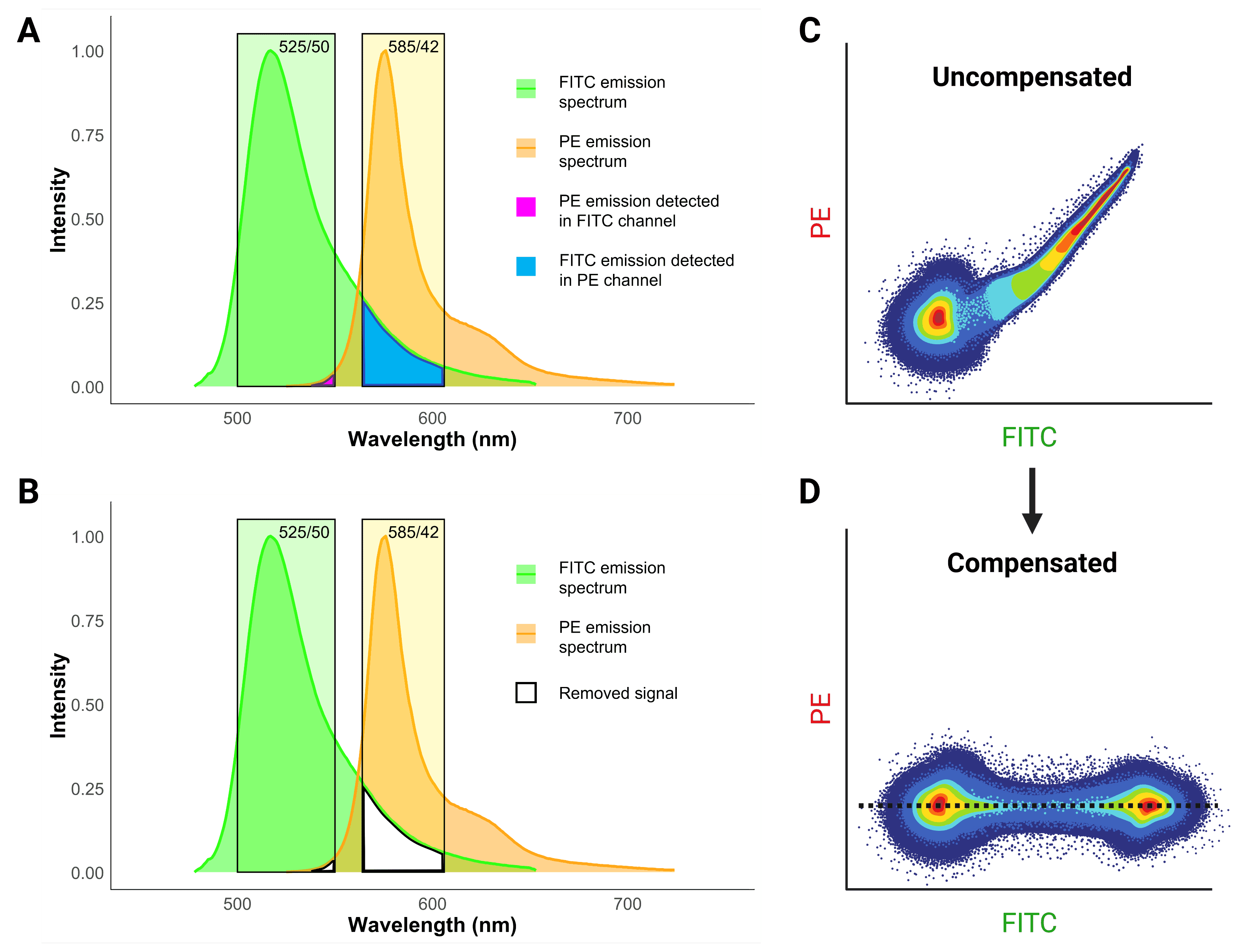 Flow Cytometry: The Complete Guide | Antibodies.com