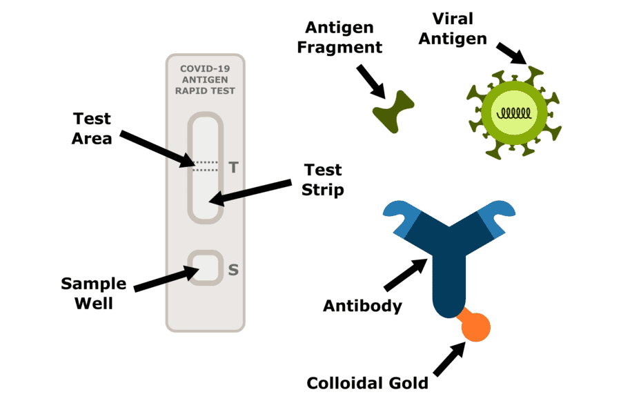 COVID19 Information & FAQ
