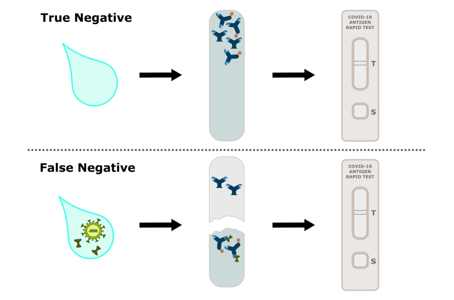 COVID19 Information & FAQ