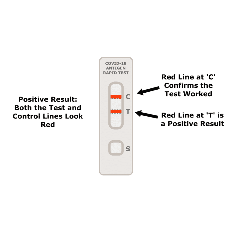 What do control lines mean in COVID-19 lateral flow tests? - Antibodies.com