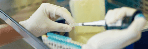 Trial Size Antibodies - Antibodies.com